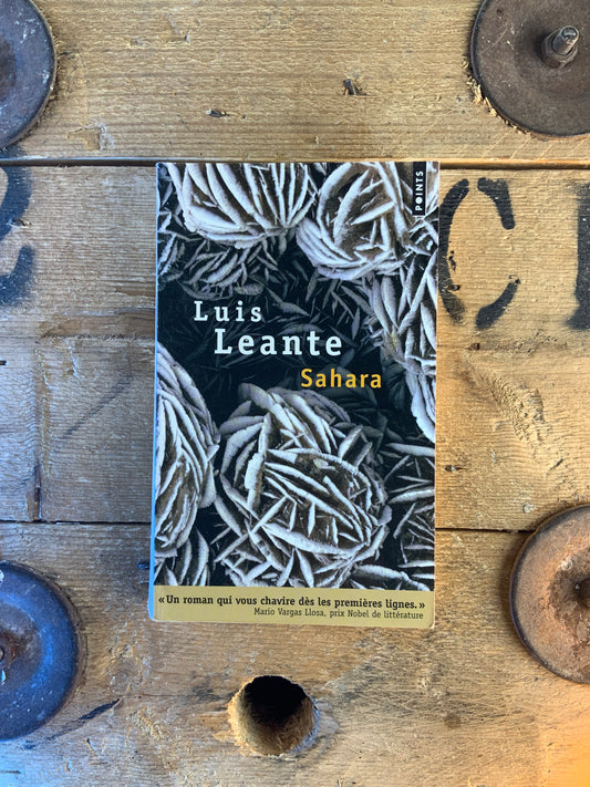 Sahara - Luis Leante