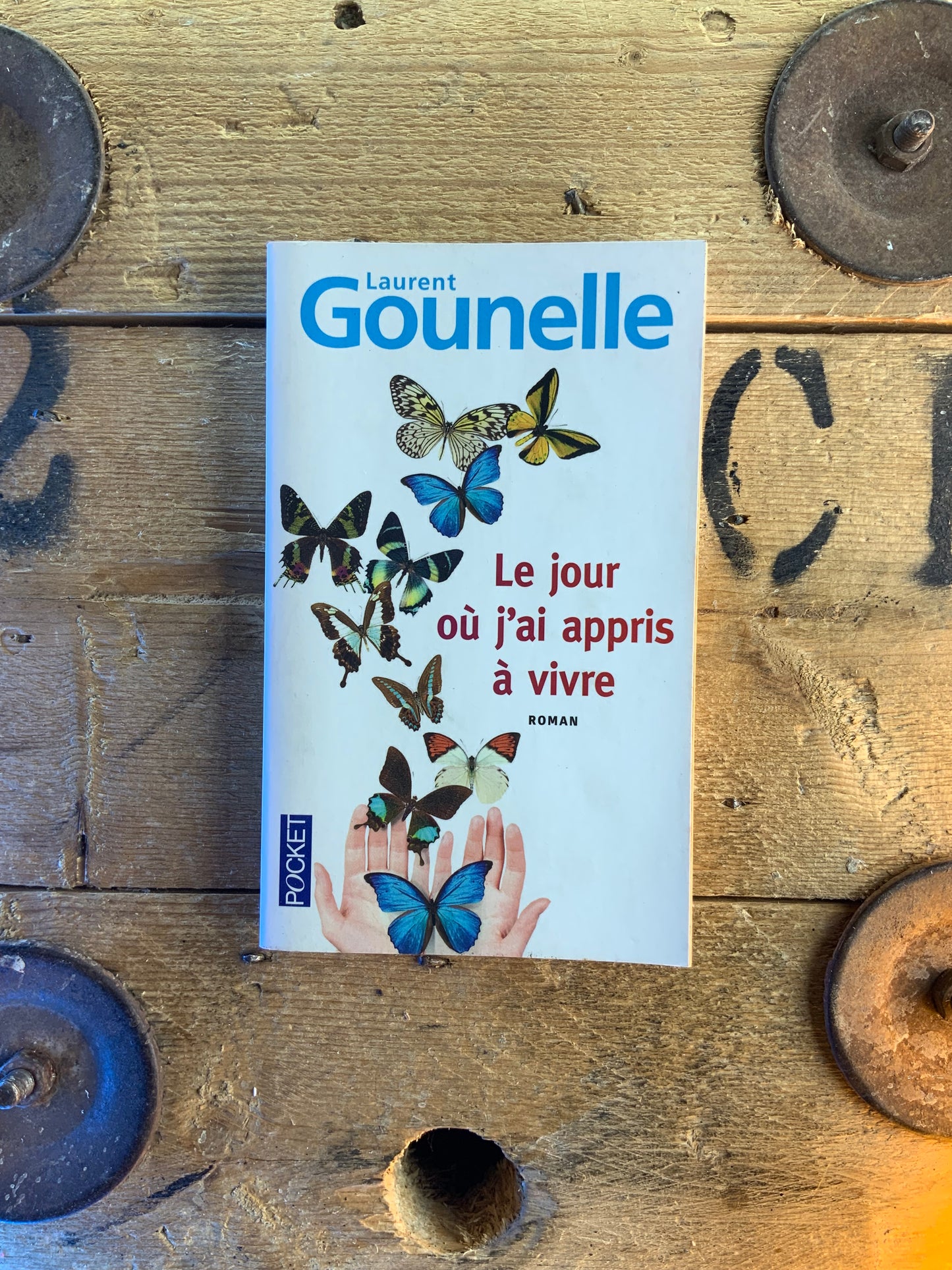 Le jour où j’ai appris à vivre - Laurent Gounelle