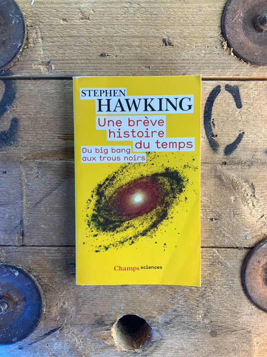 Une brève histoire du temps : du big bang aux trous noirs - Stephen Hawking