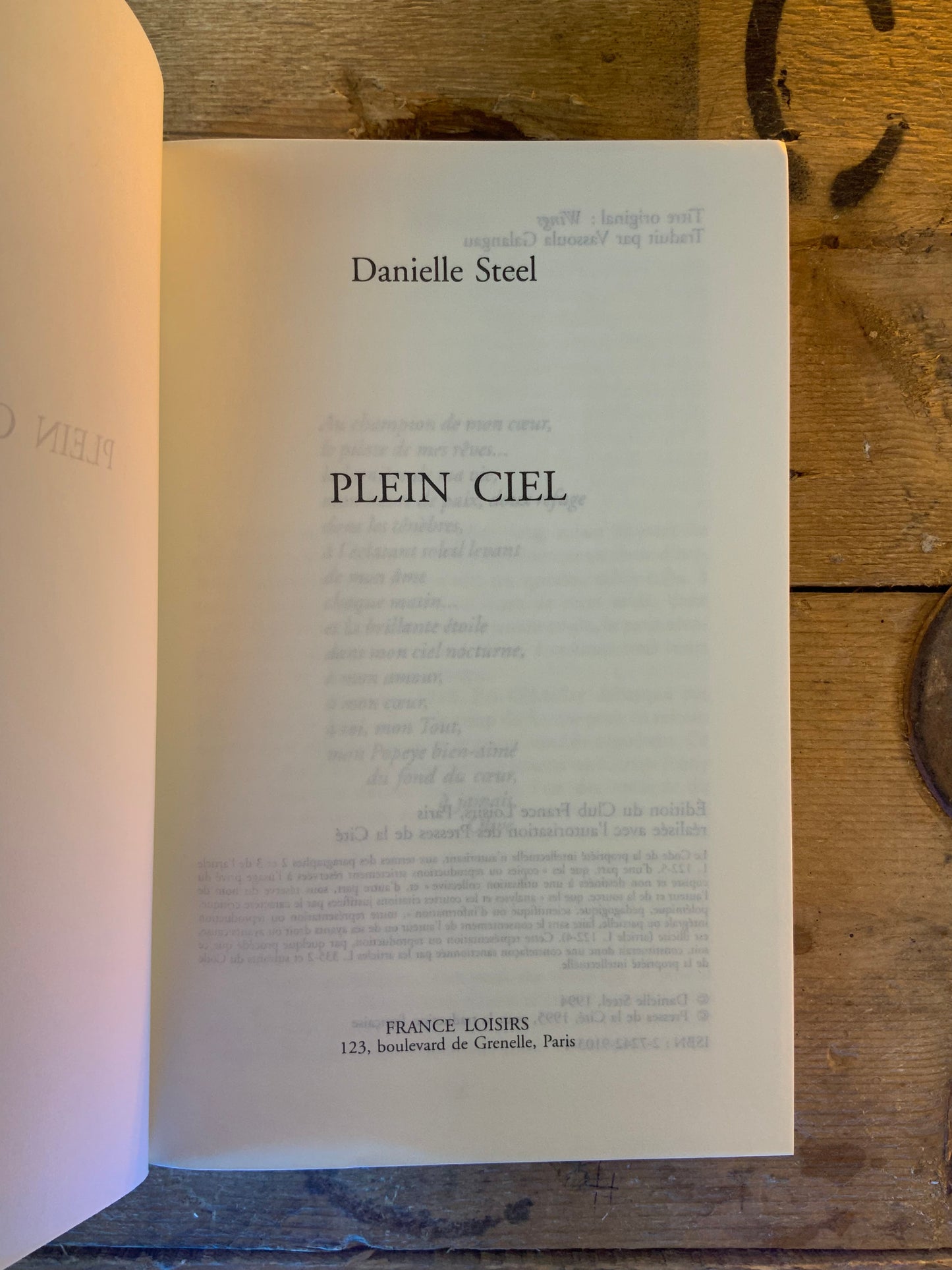 Plein ciel - Danielle Steel