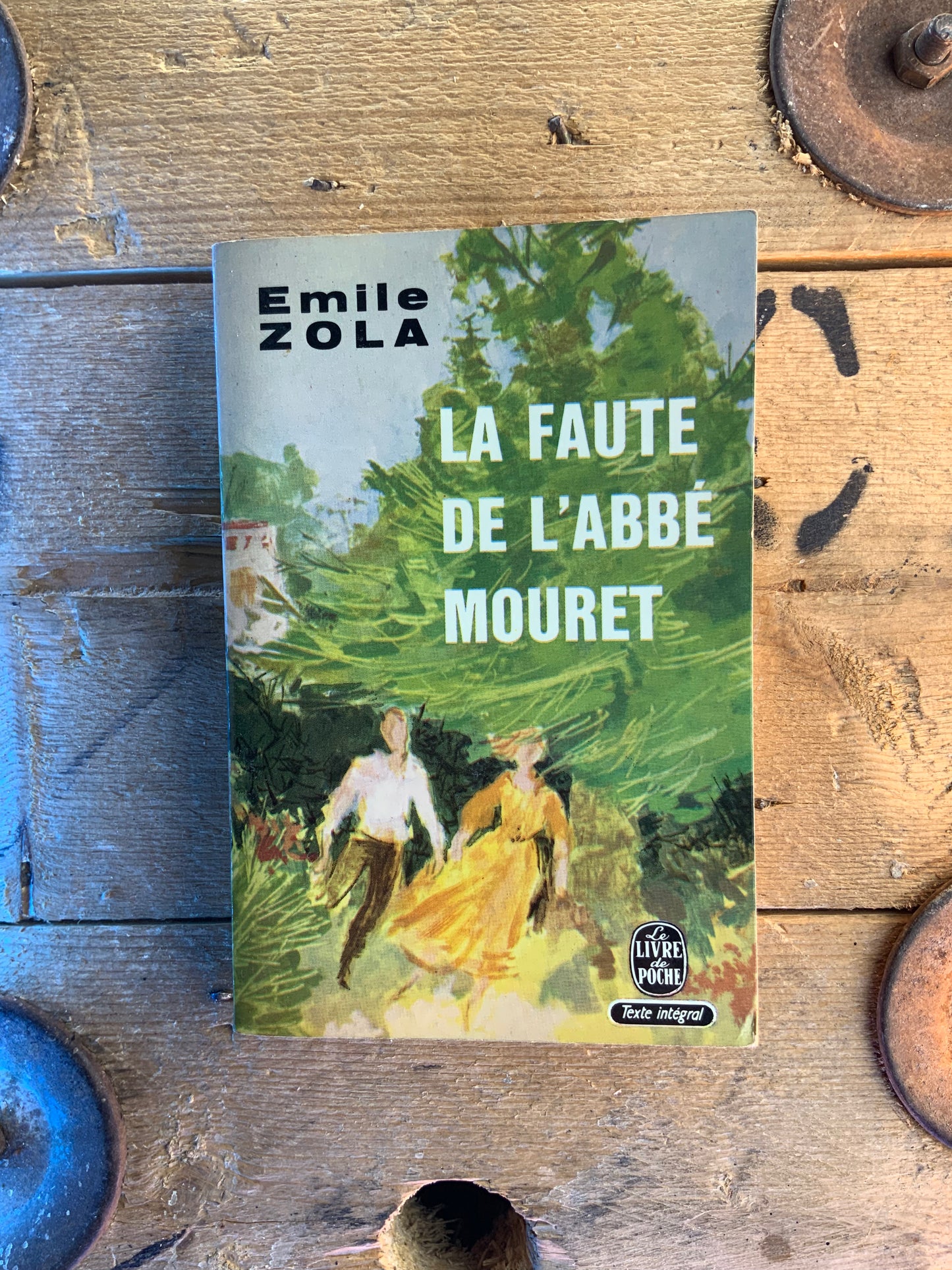 La faute de l’Abbé Mouret - Émile Zola