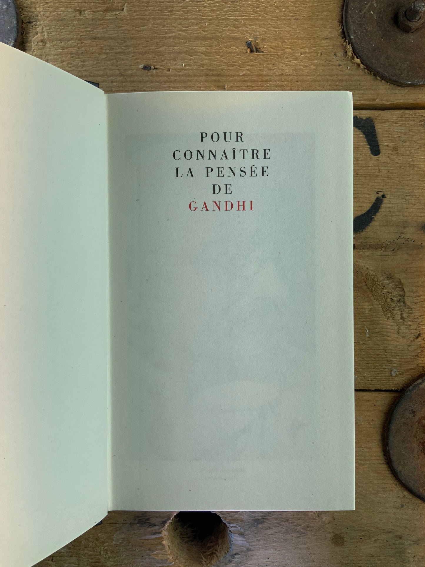 Gandhi - Camille Drevet