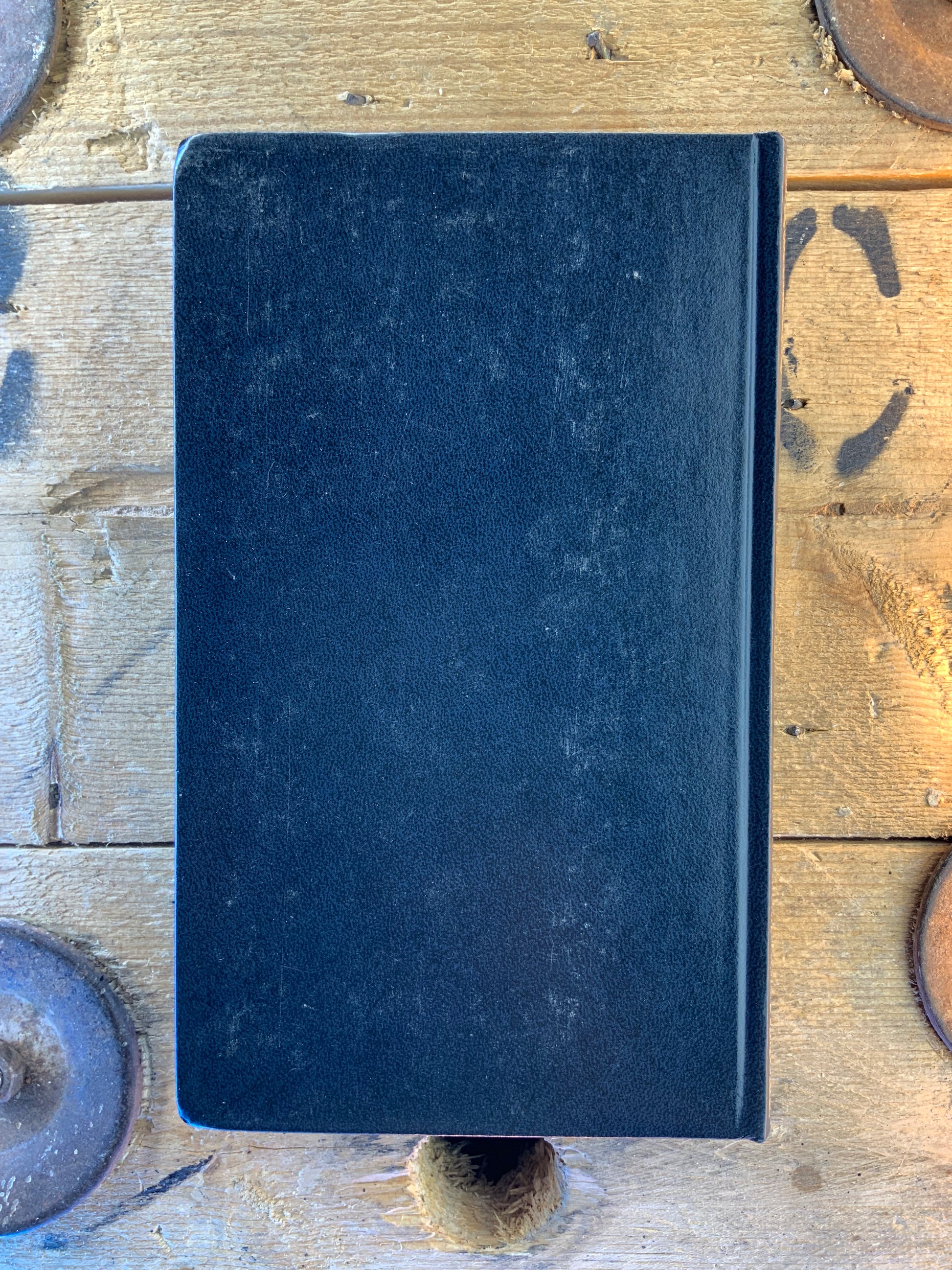 Gandhi Camille Drevet Ephesus