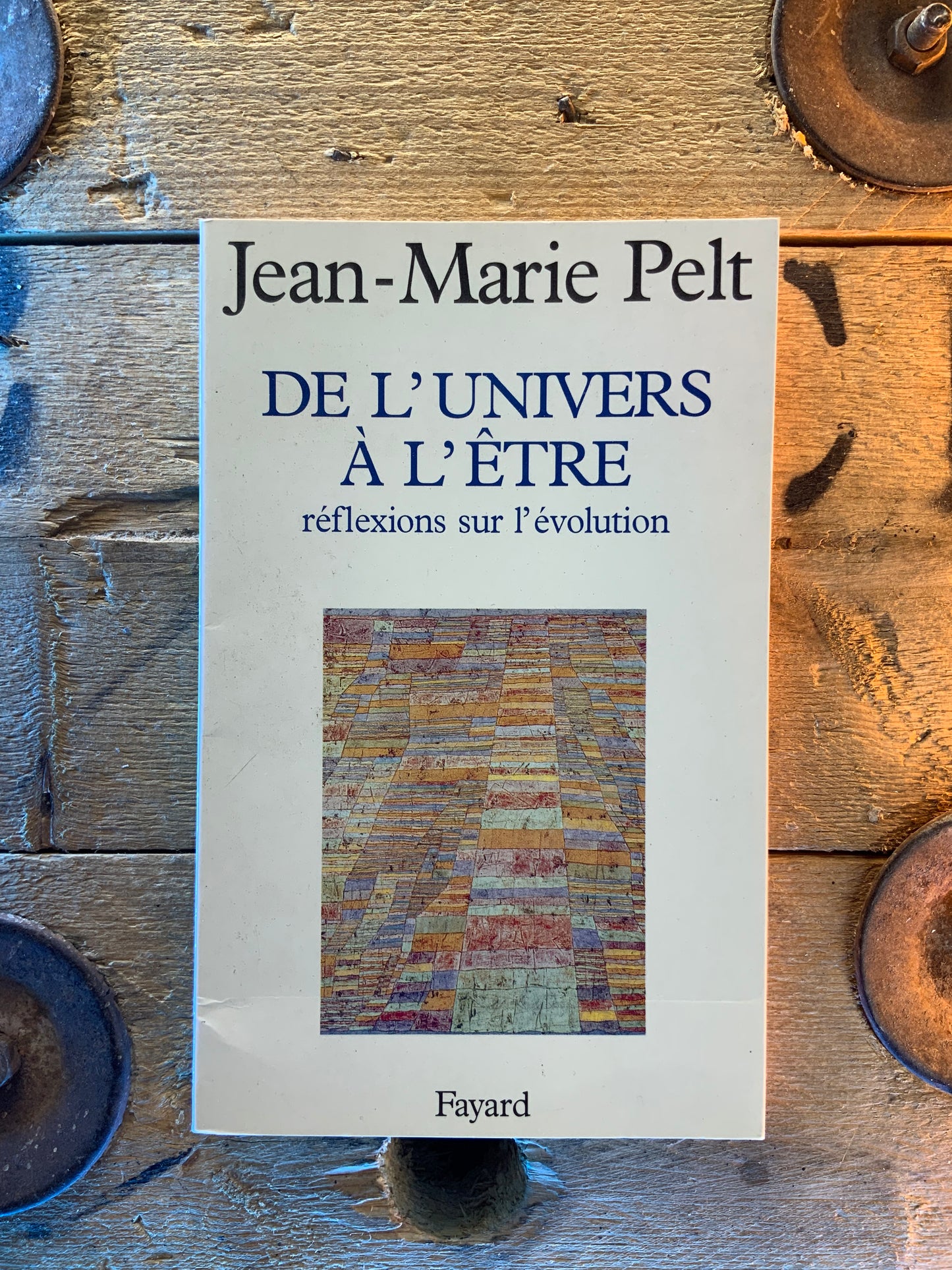 De l’univers à l’être : réflexions sur l’évolution - Jean-Marie Pelt