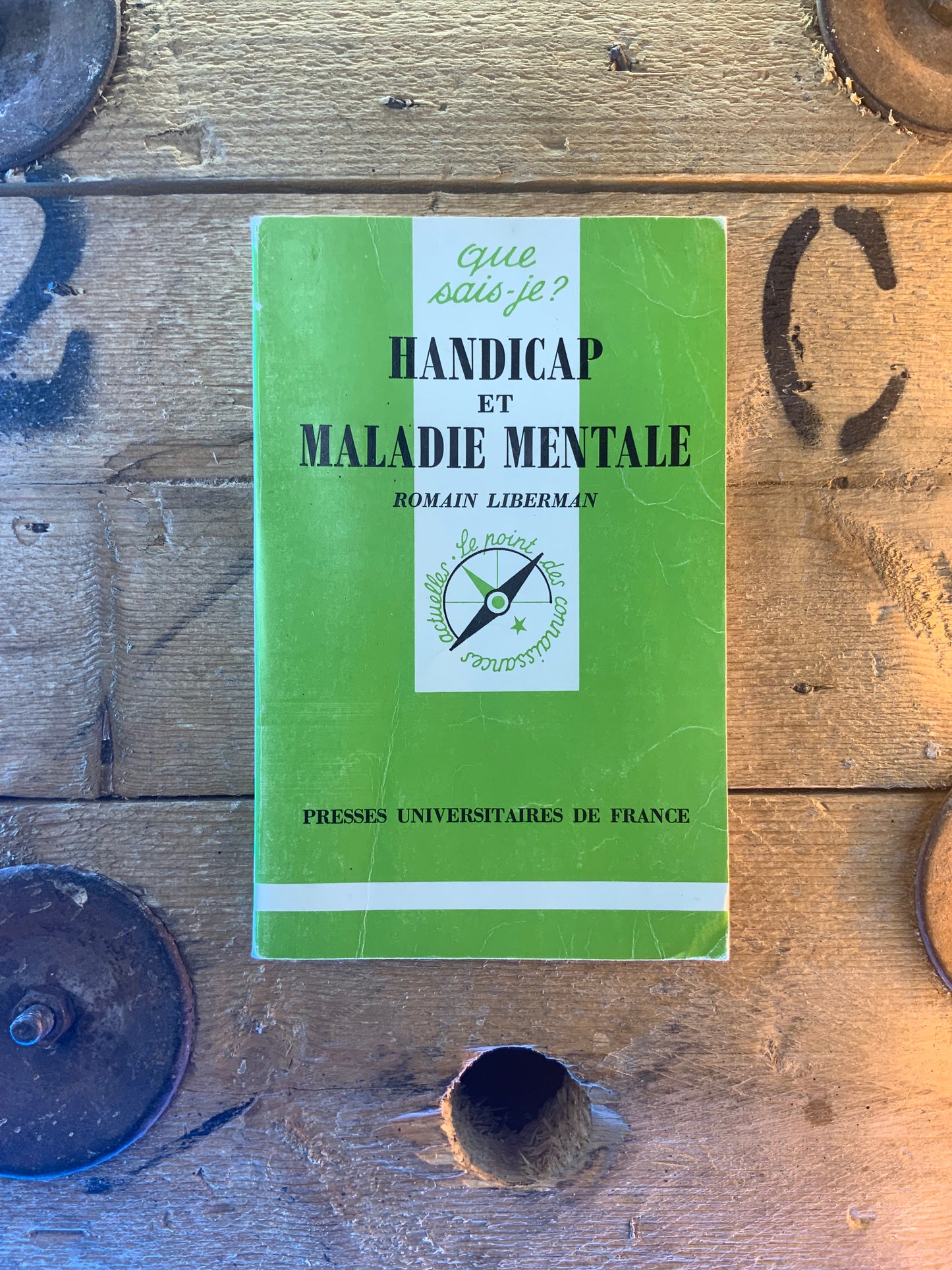 Handicap et maladie mentale