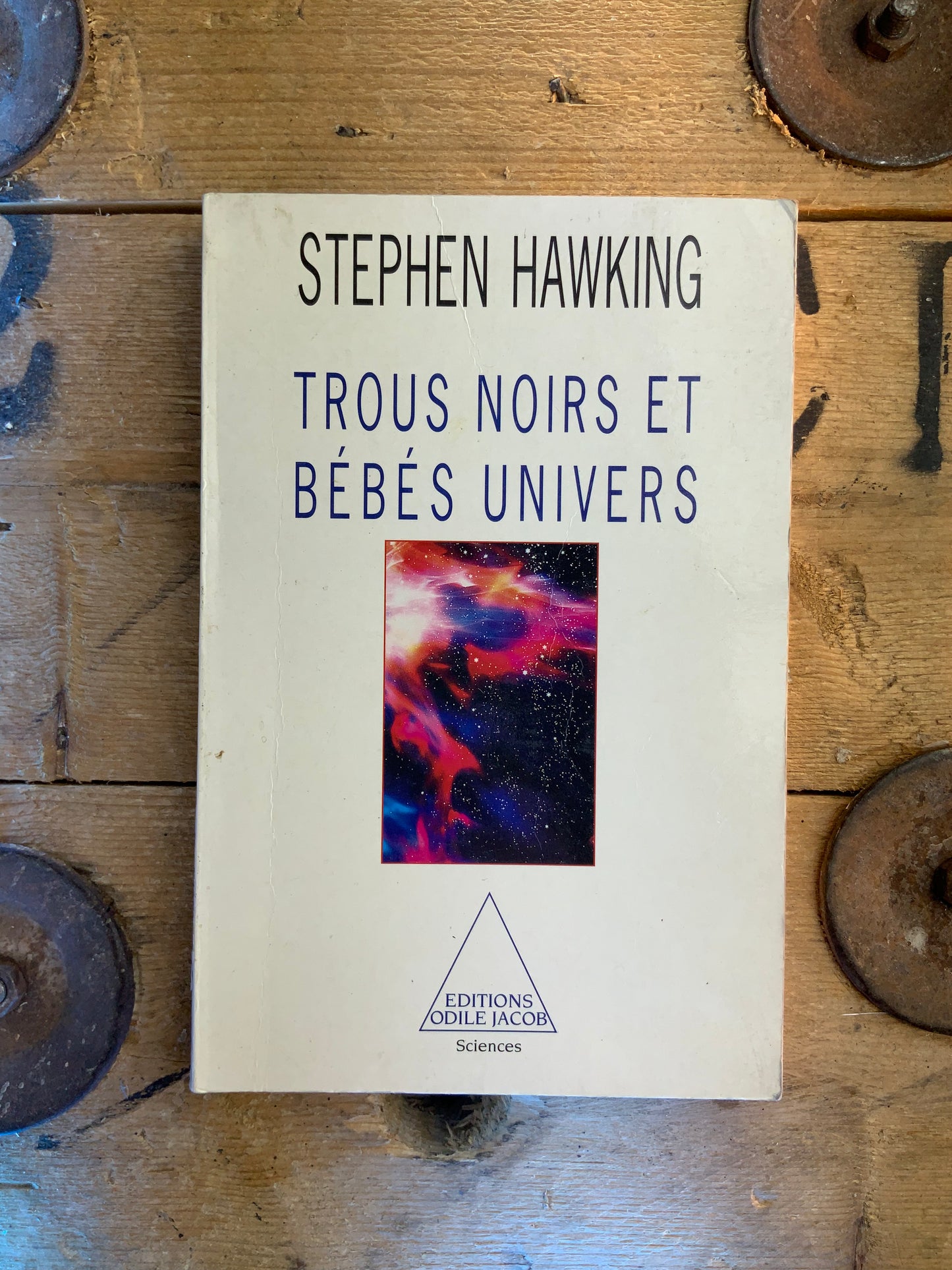 Trous noirs et bébés univers - Stephen Hawking