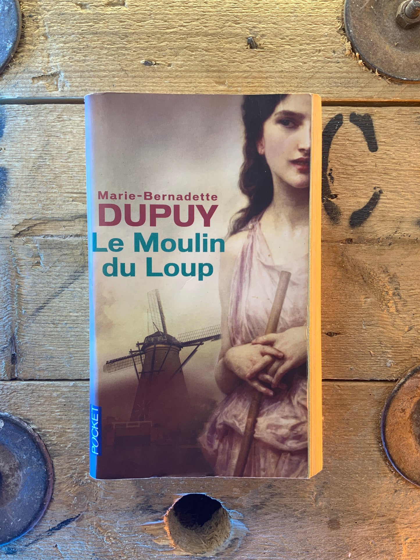 Le moulin du loup - Marie-Bernadette Dupuy