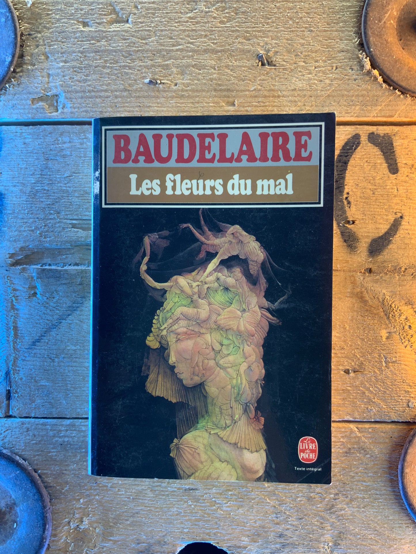Les fleurs du mal - Charles Baudelaire