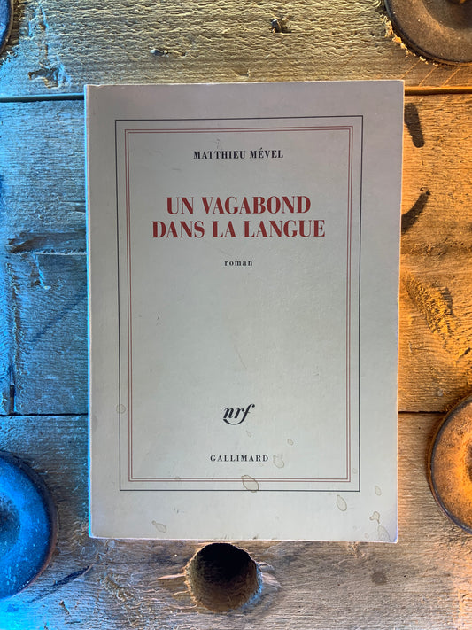 Un vagabond dans la langue - Mathieu Mével