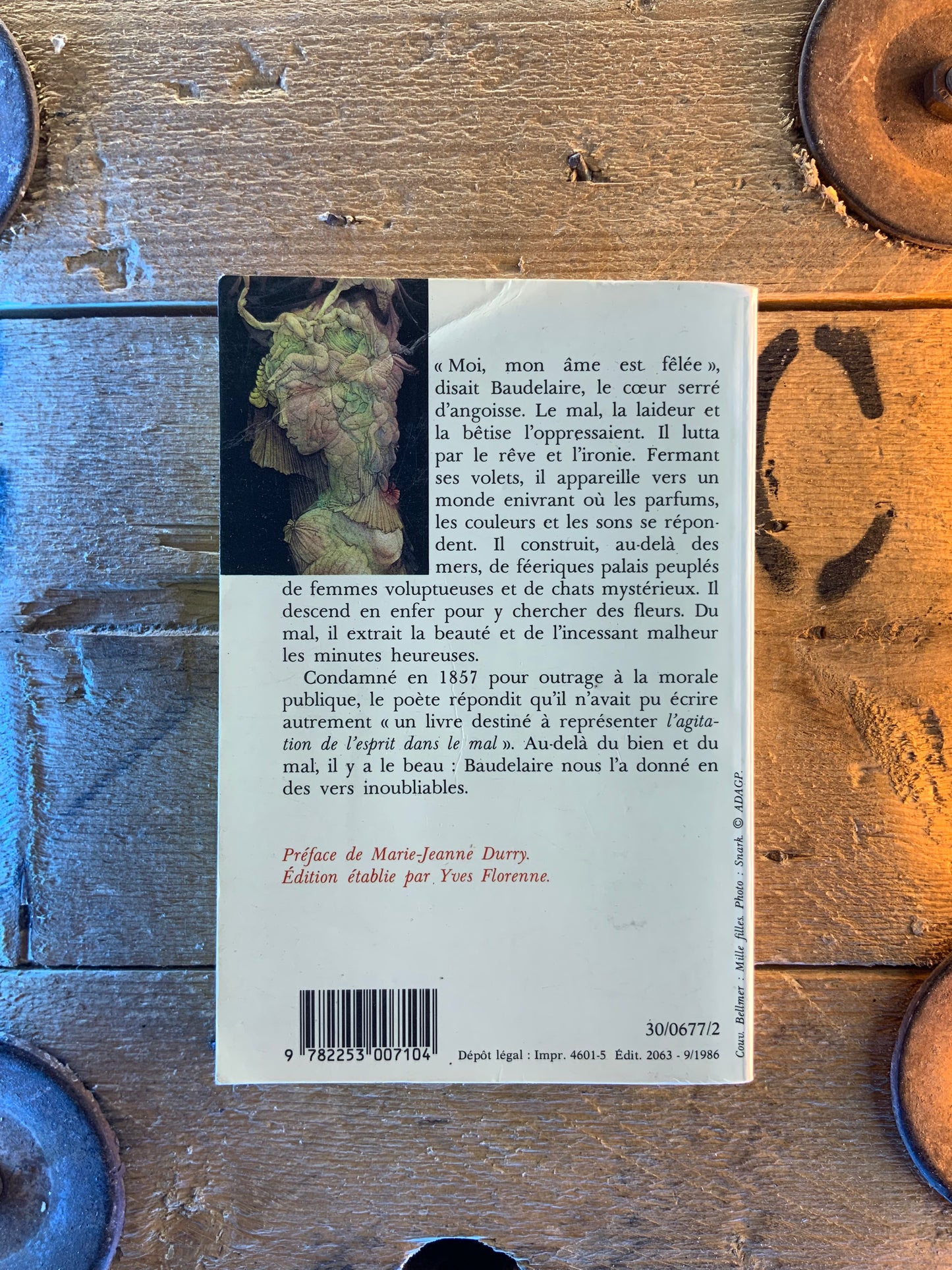 Les fleurs du mal - Charles Baudelaire