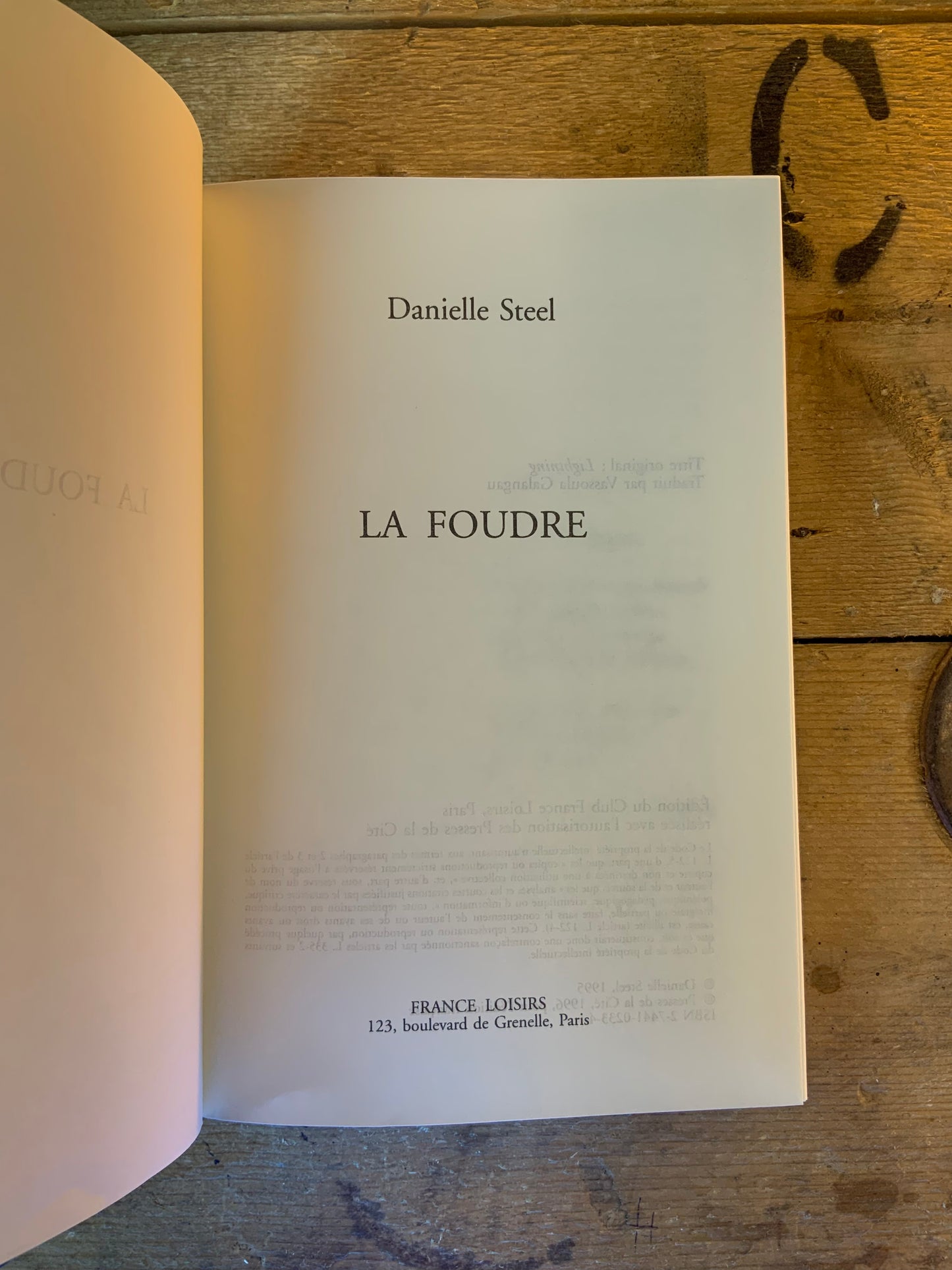 La foudre - Danielle Steel