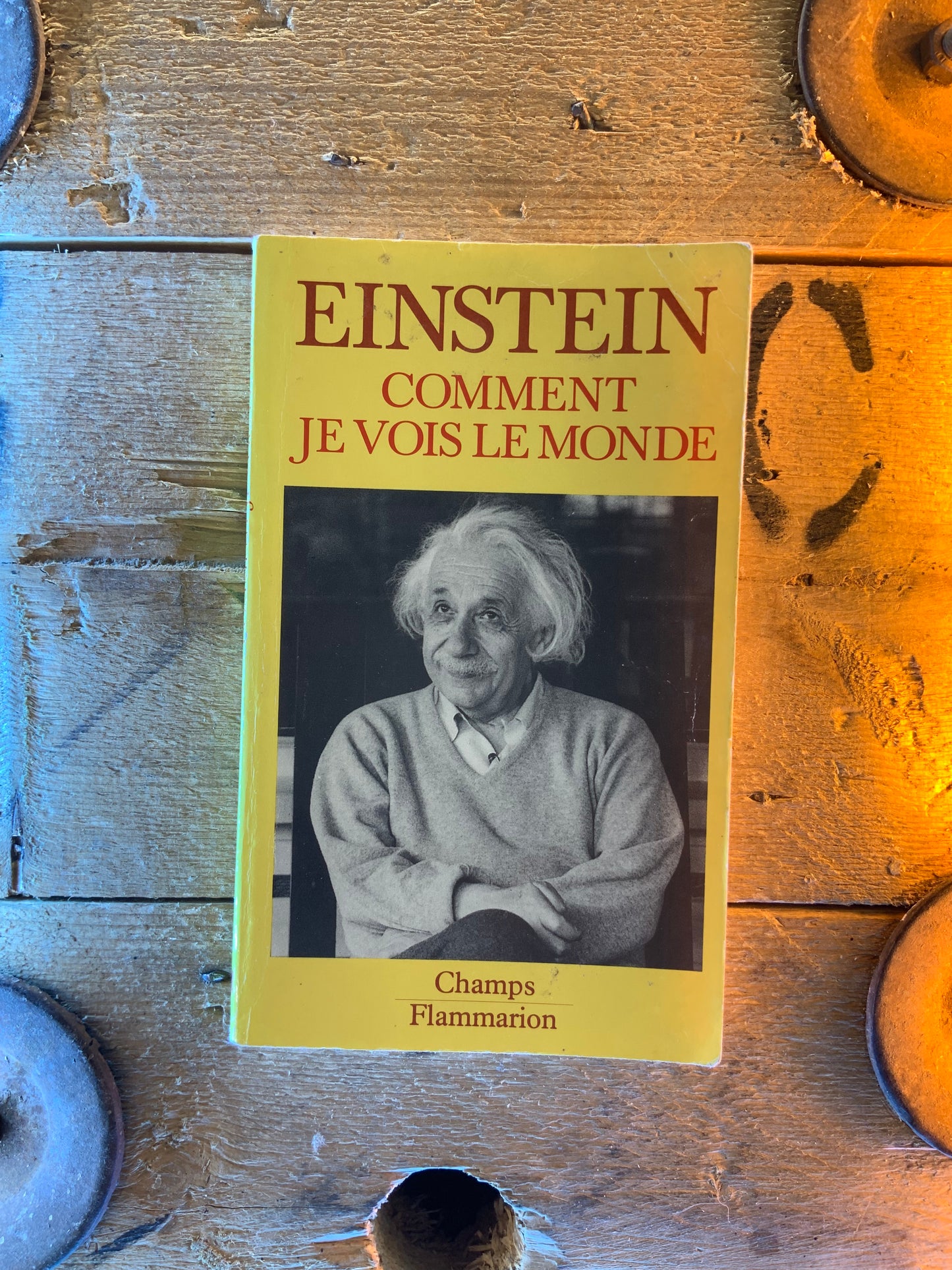 Comment je vois le monde - Albert Einstein