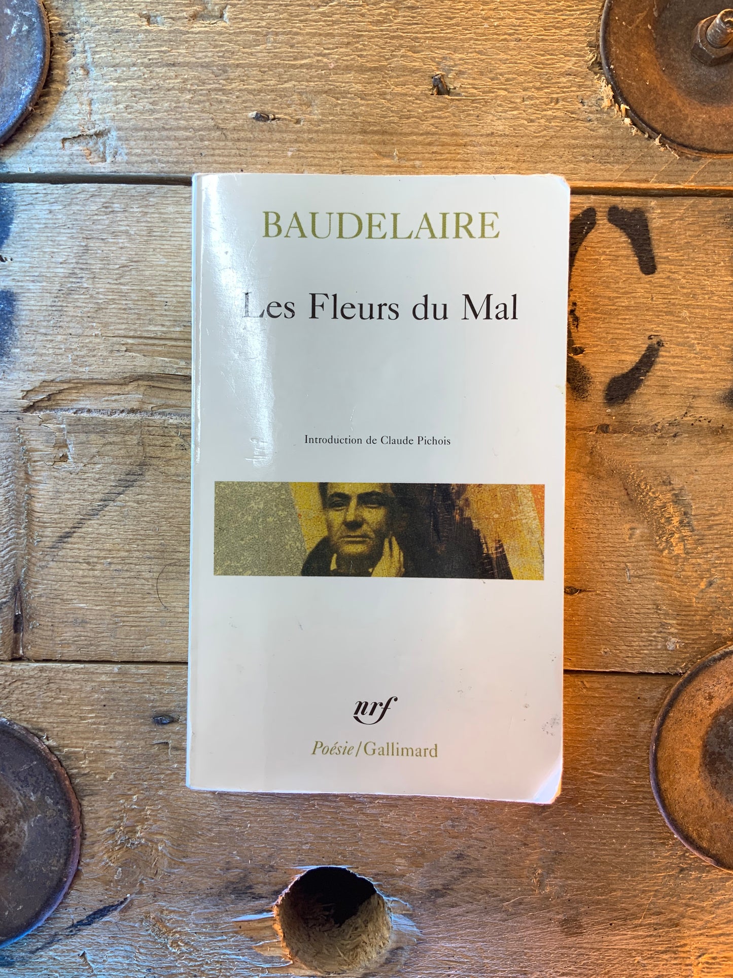 Les fleurs du mal - Charles Baudelaire