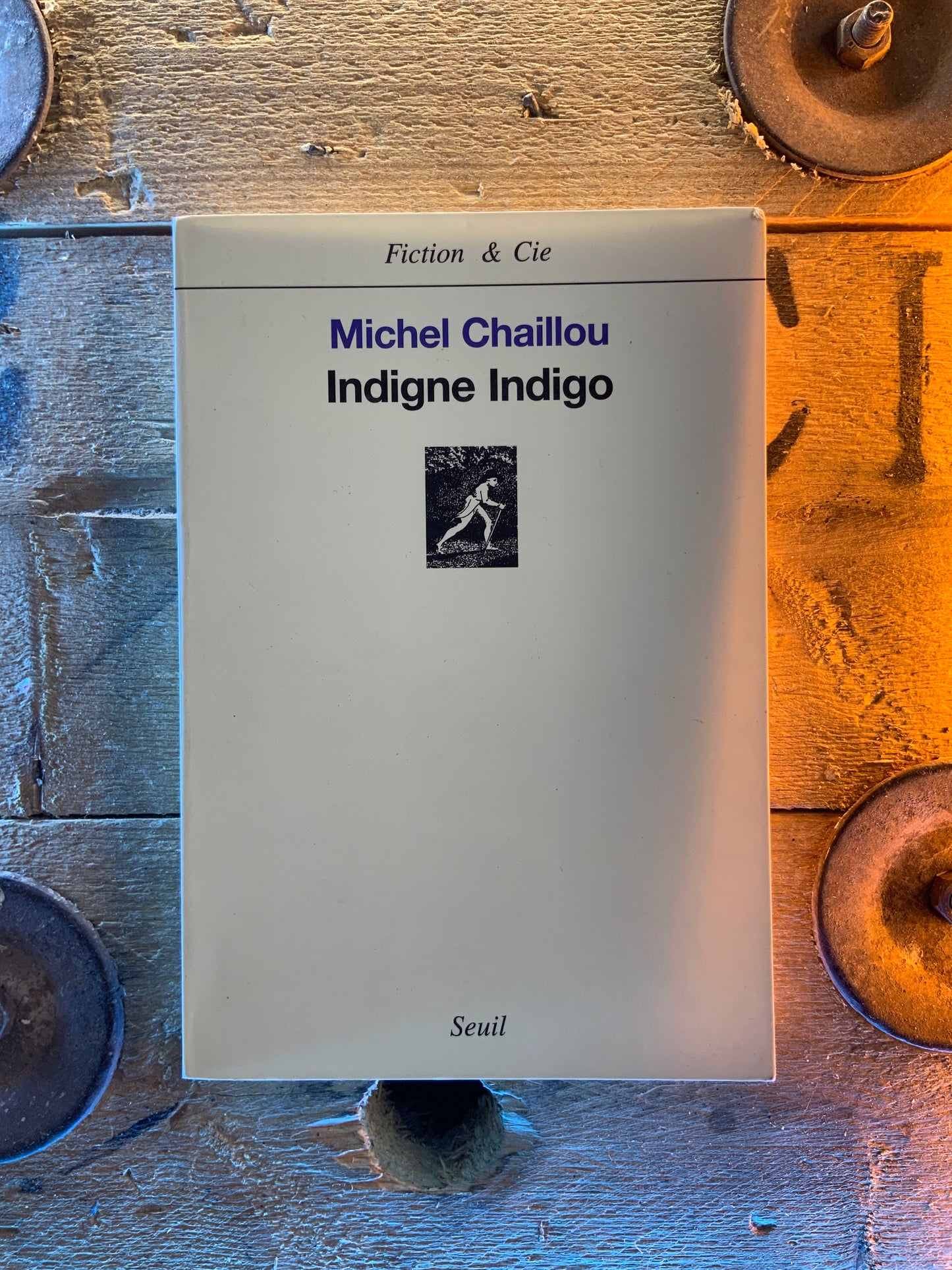 Indigne Indigo - Michel Chaillou