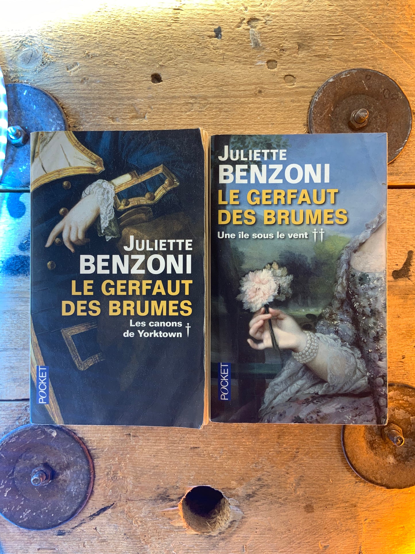 Les gerfaut dess brumes - Juliette Benzoni