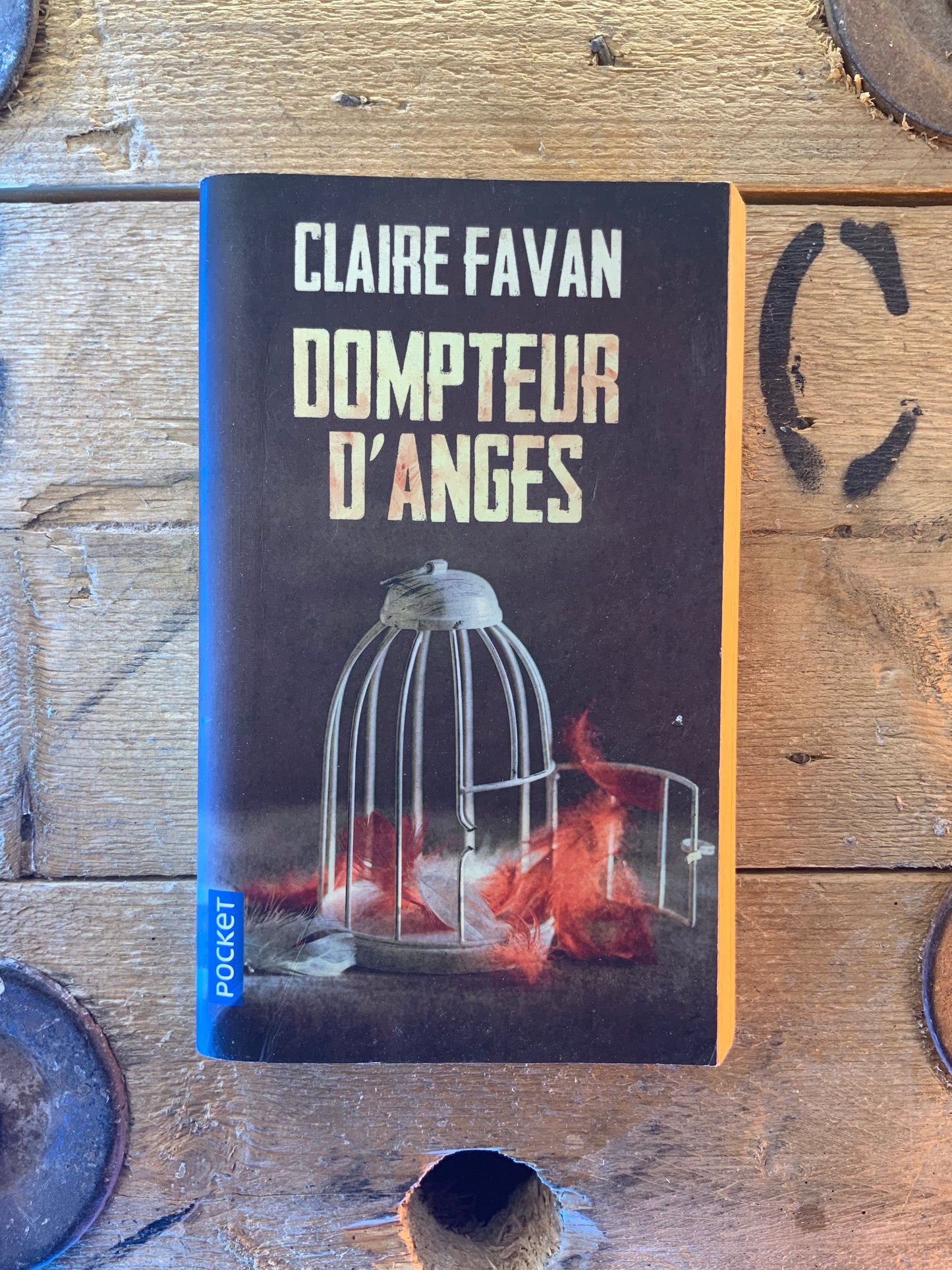 Dompteur d’anges - Claire Favan