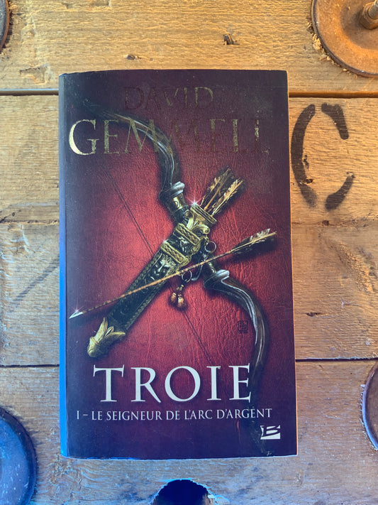 Troie : I - Le seigneur de l’arc d’argent , David Gemmell