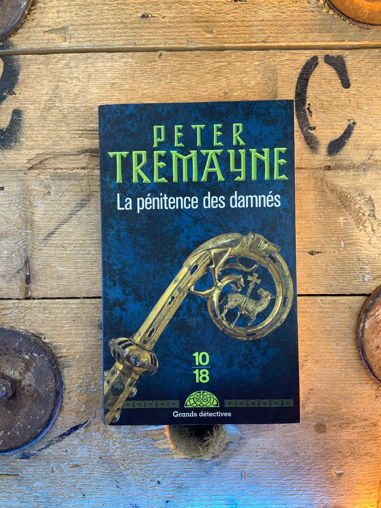 La pénitence des damnés - Peter Tremayne