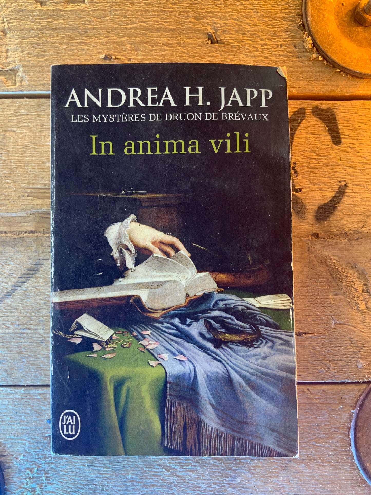 In anima vili , Andrea H. Japp