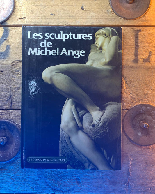 Les sculptures de Michel-Ange