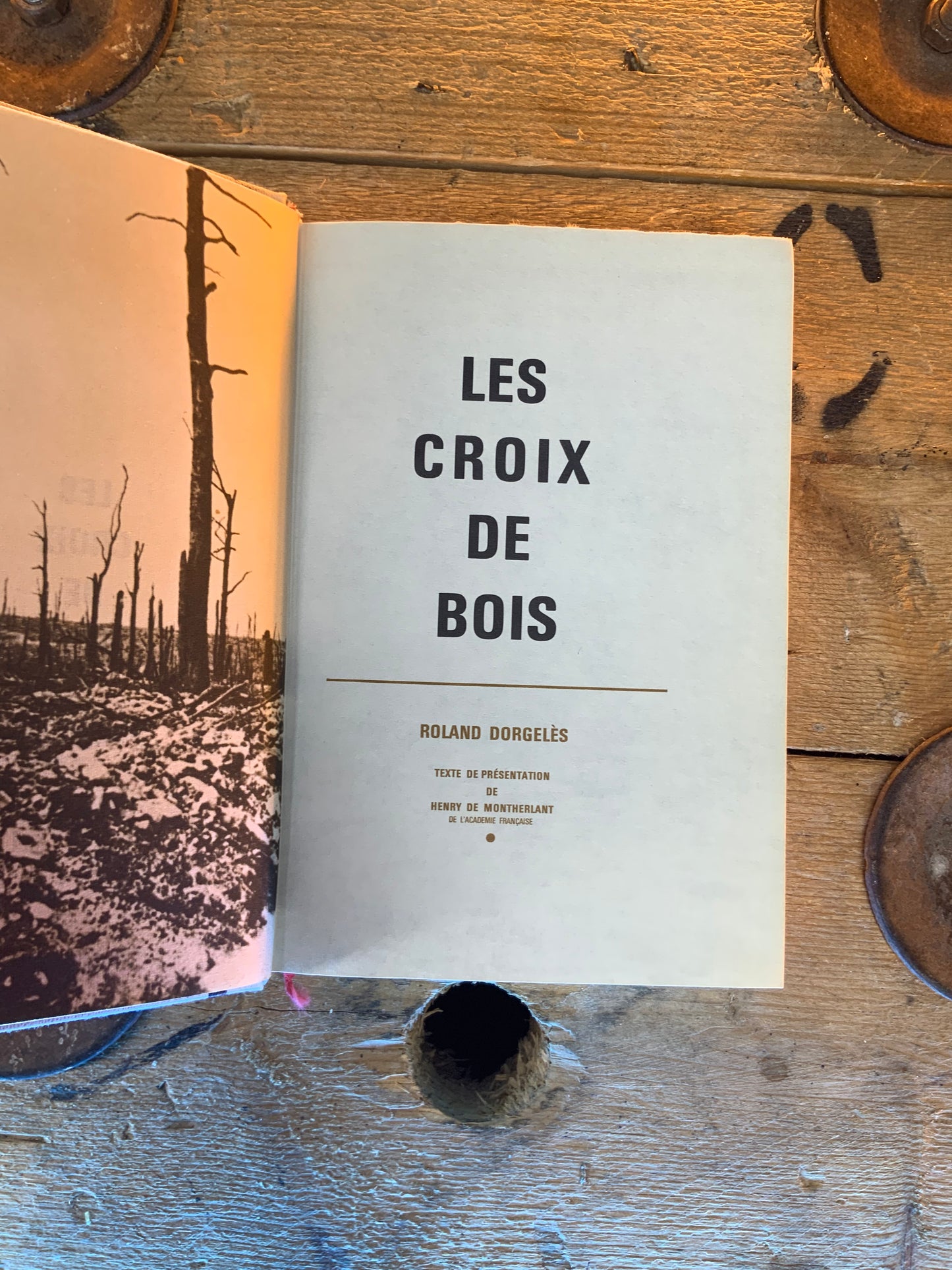 Les croix du bois , Roland Dorgelès